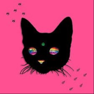 AcidCatsinJuly