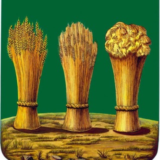 Администрация Пензы