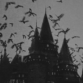 Dark academia