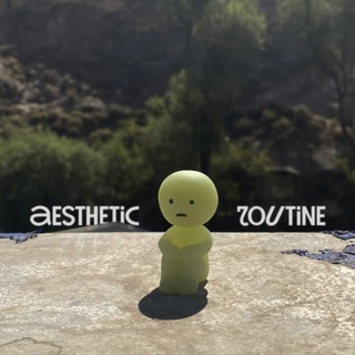 aesthtetic routine