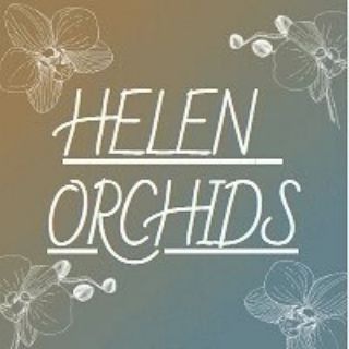 HELEN ORCHID'S 🧚‍♀