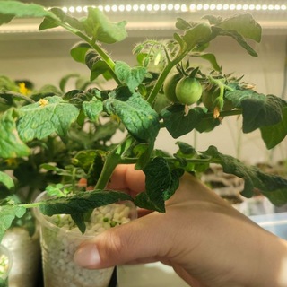 АгроБот🌱