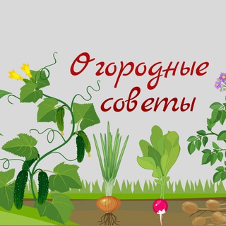 Огородные советы