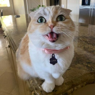 Crypto News
