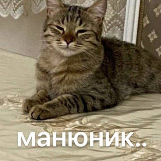 Отзывы Айз