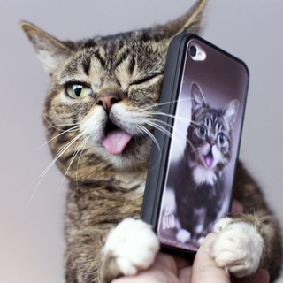 mir_aksessuarov📞☎️📱