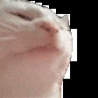 Кошан akstolfo