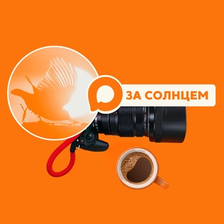 За солнцем