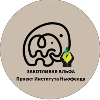 «Заботливая Альфа» - проект поддержки родителей от Института Ньюфелда