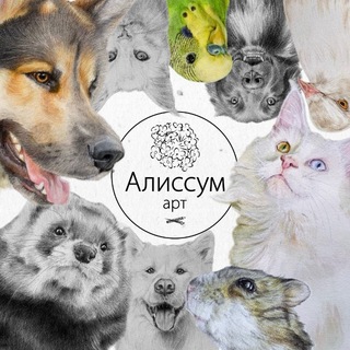 Алиссум арт