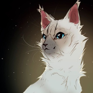 ARTOMIR
