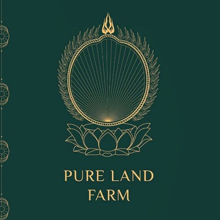 Анастасия Бойко | Pure Land Farm