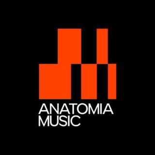 ИМПРОВИЗАЦИЯ ПО BERKLEE | ОНЛАЙН-ШКОЛА АНАТОМИЯ МУЗЫКИ