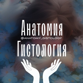 Анатомия | Гистология
