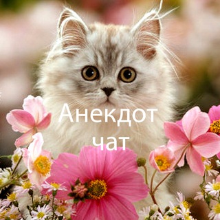 Анекдот