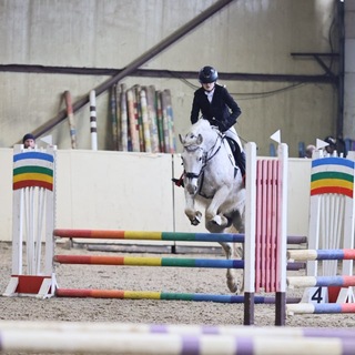 🐴 Lebensinhalt