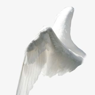 angelcry