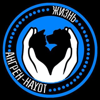 Ангрен Хаёт