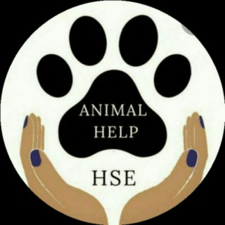 🐾ANIMAL HELP:-✔️