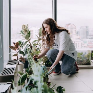 Anka's plants
