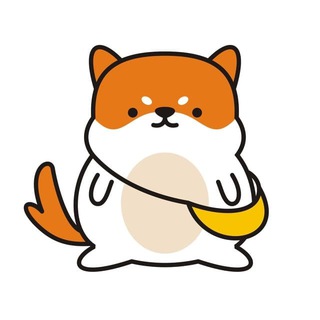 Anon Floki Korea🇰🇷