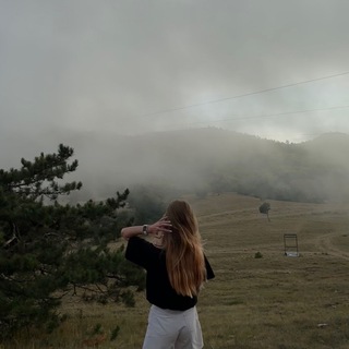ариша бгв