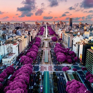 🇦🇷Аргентина помощь: переезд, беременность рантье, монотрибуто и аренда квартир