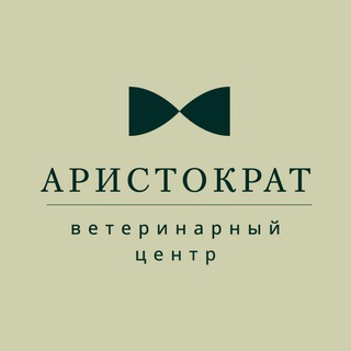 Ветцентр Аристократ 🐾