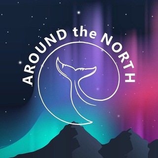 Териберка: едем на Север! Around the north ✨