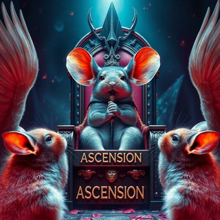 ASCENSION || AVAKIN LIFE
