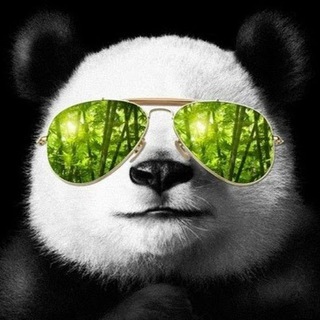 Угарная панда | Юмор