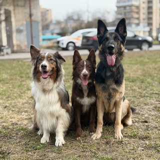 АШОТ
