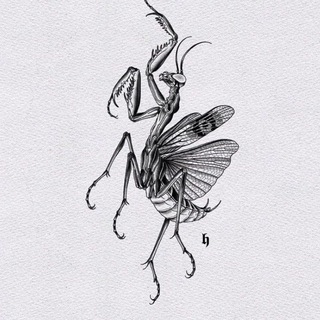 Astrilda