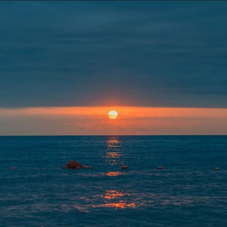 my image