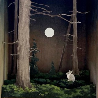 Shadowbox