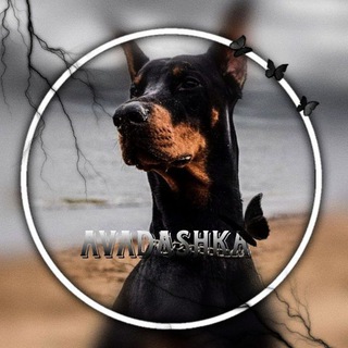 AvA/Дашка😎