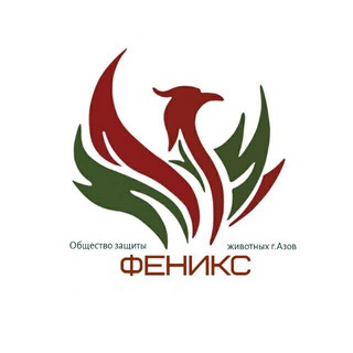 Приют «Феникс» г. Азов