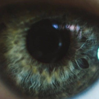 badeyebrowsboys