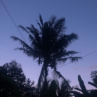 soncheztrip >> bali