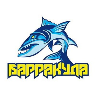 Baracuda VPN