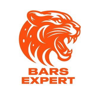 Барс.expert | Реставрация салонов авто