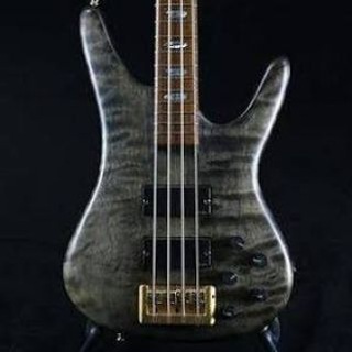 Bass Berserk Asylum