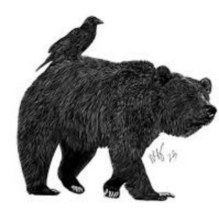 Bear, Raven & Co.
