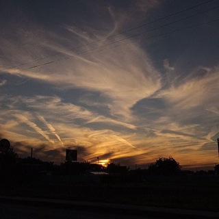 Beautiful pictures