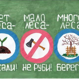 Березовая роща и окрестности