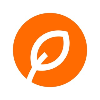 Betalife — рассеянный склероз и оптиконевромиелит. Полезные советы и статьи от медэкспертов