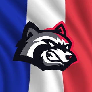 BetFury FR 🇫🇷