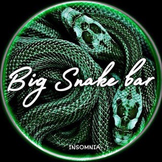 Big Snake Bar 🍸