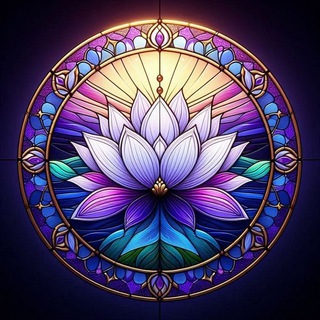 Био-ритмы🌏