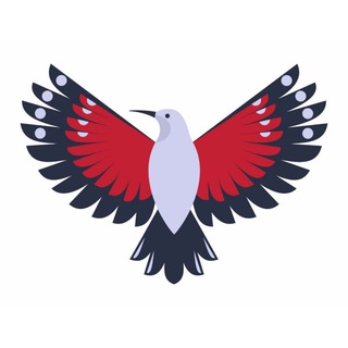 Birdtours